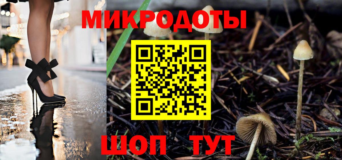 Галлюциногенные грибы Psilocybe Воткинск
