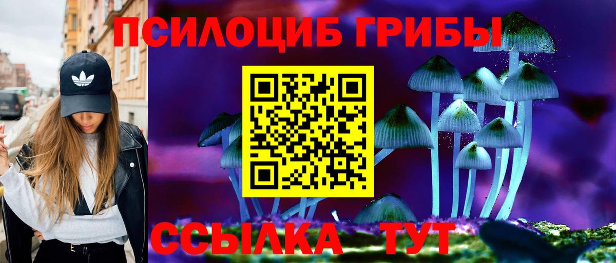 Воткинск  Псилоцибиновые грибы MAGIC MUSHROOMS  Вход с VPN 